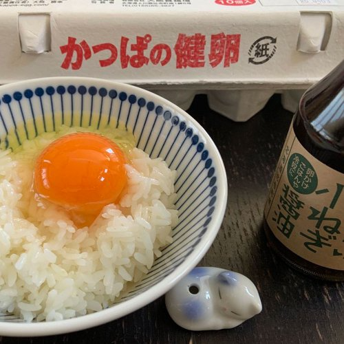 1.【北海道】卵嫌いの子どもでも喜んで食べる生臭さのない卵「かっぱの健卵」