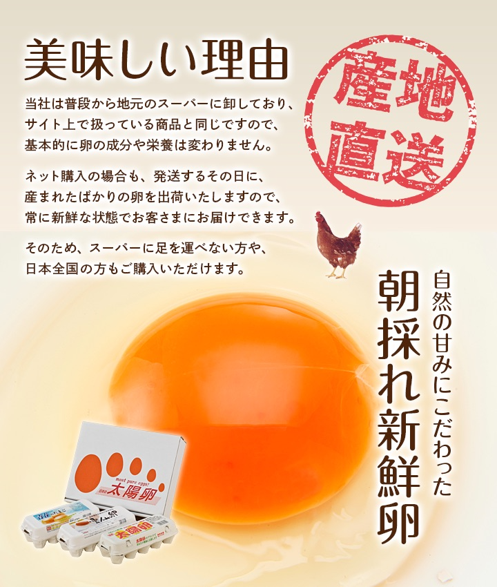 13.【長崎県】深いコクと、幅のあるまろやかな甘みを味わえる「太陽卵」