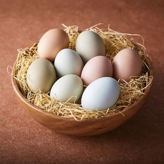 ⑦国内でも珍しい翡翠色の卵販売「北海道ファーム」