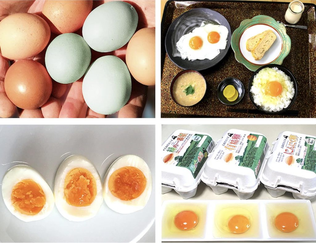 4.【青森県】生臭さとは無縁の日本でも珍しい緑色の卵「緑の一番星」