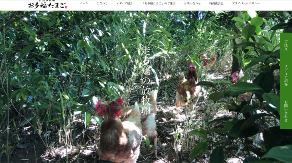 ⑨【鹿児島県】環境省エシカル賞を受賞した自然放牧場お多福たまごの「お多福たまご」