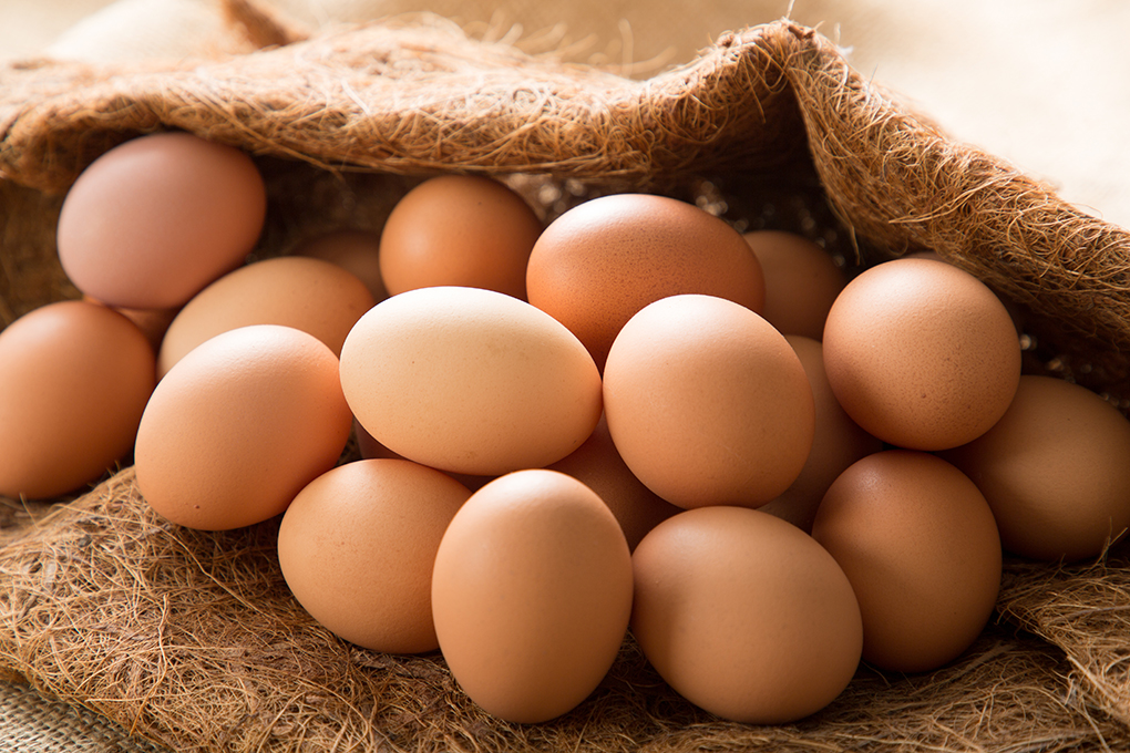 ⑥餌の配合にこだわることで本来の旨みを引き出した卵「Farm Agricola」