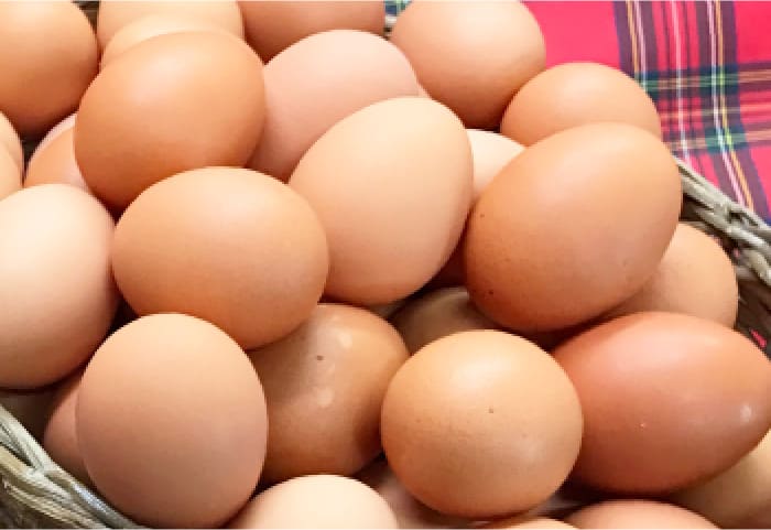 山梨県・田辺養鶏場の「忍野のたまご コクの赤玉」がかごに盛られた様子